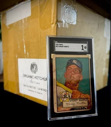 Top Collections Purchased in 2025 by Just Collect