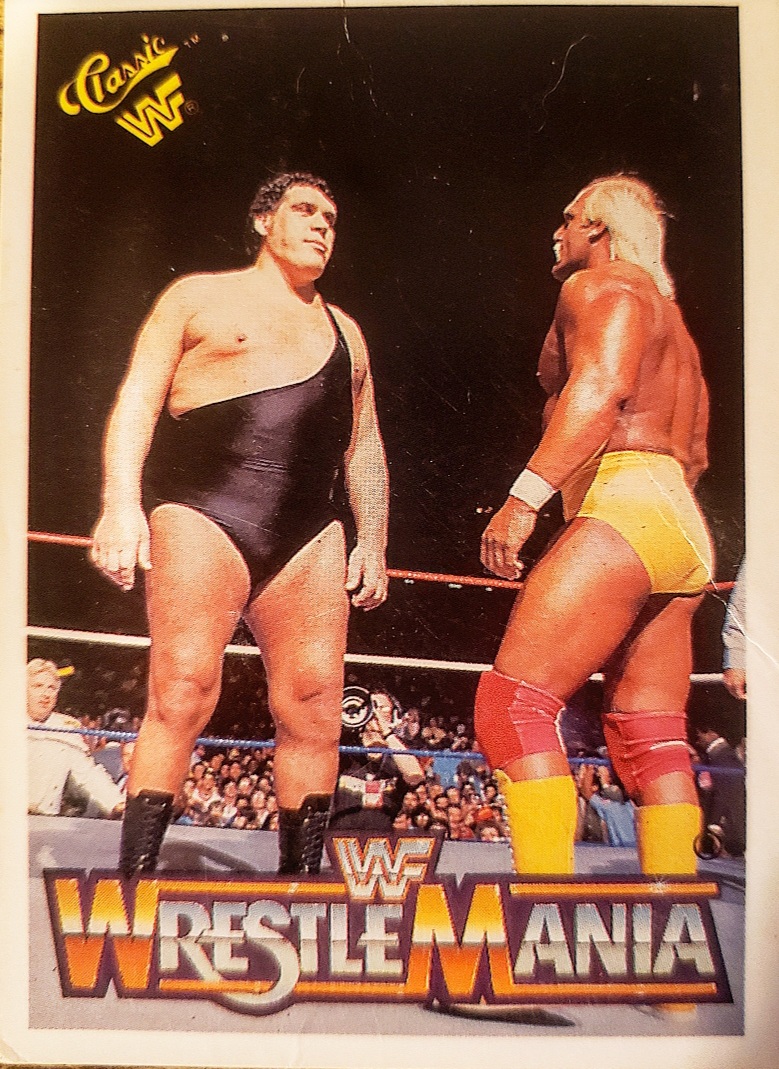 HASBRO CLASSICS WF WCW WWE WRESTLING FIGURES 90S COLLECTION CHOOSE 1 